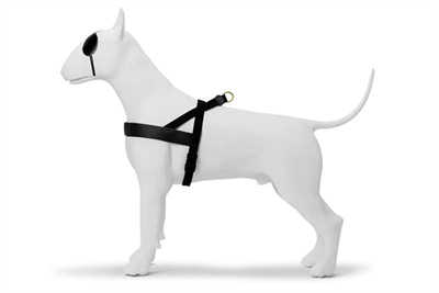 MORSO Hondentuig Norwegian Gerecycled Gold Caviar 69-86×63 cm – Goud