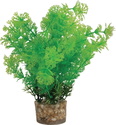 ZOLUX Ornament Plastic Plant 20×10×10 cm – Neutraal Assorti