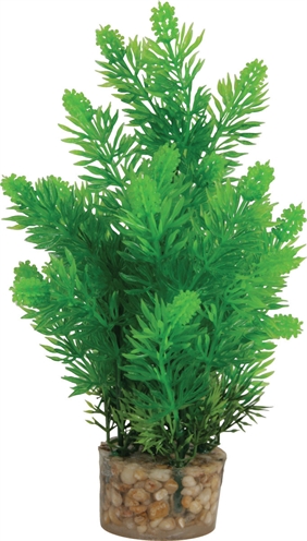 ZOLUX Ornament Plastic Plant 20×10×10 cm – Neutraal Assorti