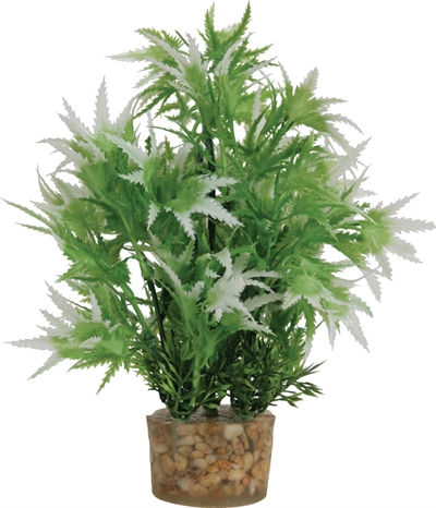 ZOLUX Ornament Plastic Plant 20×10×10 cm – Neutraal Assorti