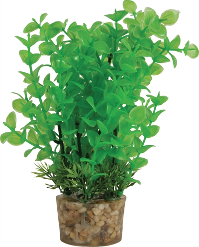 ZOLUX Ornament Plastic Plant 20×10×10 cm – Neutraal Assorti