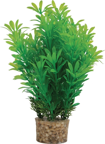 ZOLUX Ornament Plastic Plant 20×10×10 cm – Neutraal Assorti