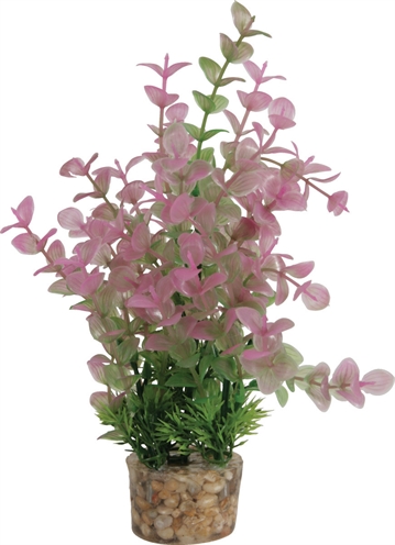 ZOLUX Ornament Plastic Plant Aquarium 20×10×10 cm – Vrolijk Assorti