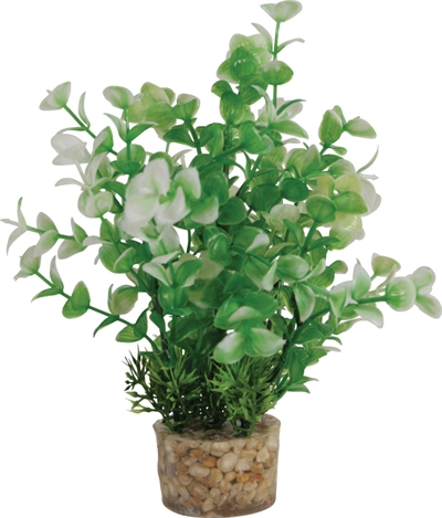 ZOLUX Ornament Plastic Plant Aquarium 20×10×10 cm – Vrolijk Assorti
