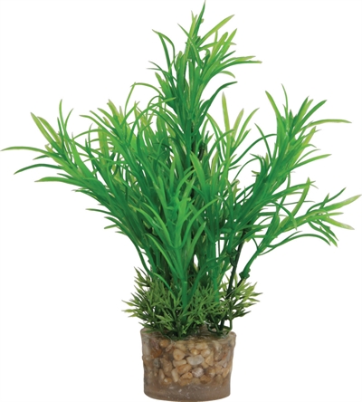 ZOLUX Ornament Plastic Plant Aquarium 20×10×10 cm – Vrolijk Assorti