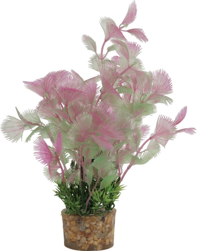 ZOLUX Ornament Plastic Plant Aquarium 20×10×10 cm – Vrolijk Assorti