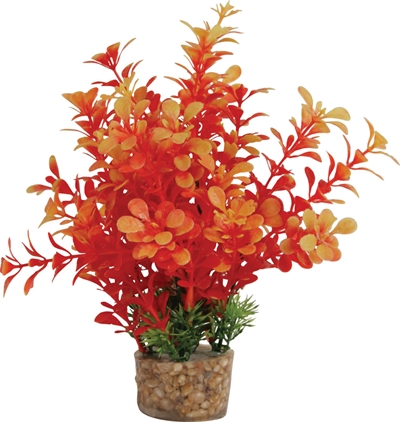 ZOLUX Ornament Plastic Plant Aquarium 20×10×10 cm – Vrolijk Assorti