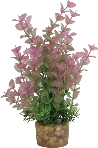 ZOLUX Ornament Plastic Plant Aquarium 20×10×10 cm – Assorti