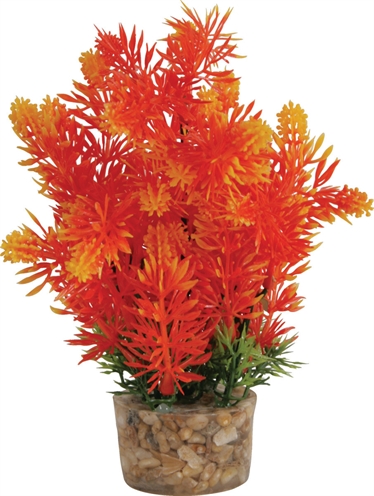 ZOLUX Ornament Plastic Plant Aquarium 20×10×10 cm – Assorti