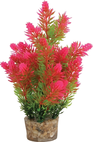 ZOLUX Ornament Plastic Plant Aquarium 20×10×10 cm – Assorti