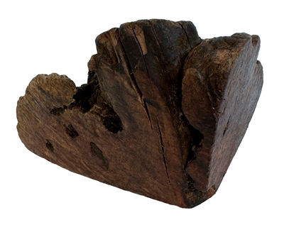 DOG WOODZZZ Kauwwortel Olijfolie M 301-500 gr – Hypoallergeen