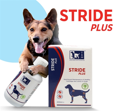 TRM Gewrichtssupplement STRIDE PLUS - Glucosamine & chondroïtine voor kraakbeen en mobiliteit - Vloeibaar, vegan - 200 ml