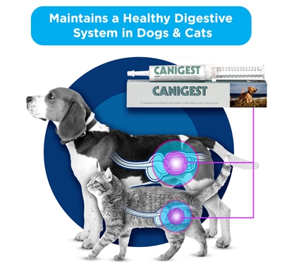 TRM Spijsverteringspasta CANIGEST Pro- & prebiotica, herstelt darmflora - 15 ml