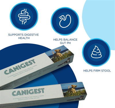 TRM Spijsverteringspasta CANIGEST Pro- & prebiotica, herstelt darmflora - 15 ml