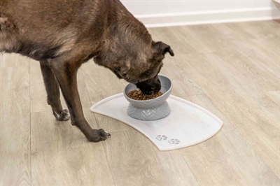 TRIXIE Verhoogde voer- en waterbak Keramiek Ergonomisch verhoogd - Grijs - 350 ml