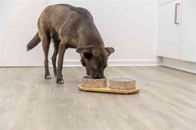 TRIXIE Voer- & waterbak set Keramiek/Bamboe - Antislip voetjes - Wit/Natuur - 2x800 ml