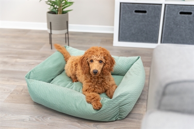 TRIXIE Hondenmand Alena 60×50 cm – Saliegroen