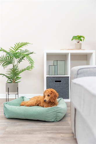 TRIXIE Hondenmand Alena 60×50 cm – Saliegroen