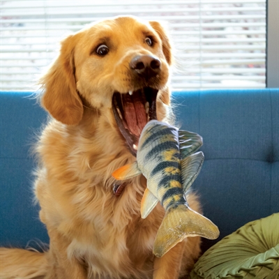 KONG honden speelgoed KONG WILD SHIELDZ PERCH 28×7,5×5 cm – waterdicht