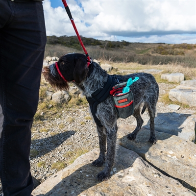 KONG honden poepzakjes tasje Pick Up Pouch 12×12×19,5 cm – hygiënisch