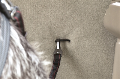 KONG Autogordel Hond Cargo Swivel 11×3,1×29 cm – Veilig reizen