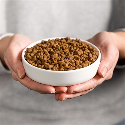 SMOLKE CAT ADULT FISH / RICE | 2 KG