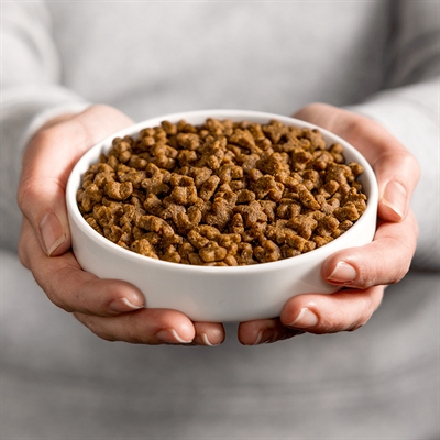SMOLKE CAT ADULT KIP/RIJST | 2 KG Dierlijk Voer