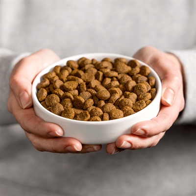 SMOLKE Cat Adult Lam / Rijst | 2 KG Katzenvoer