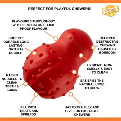 NYLABONE Strong Rubber Cone | Baconsmaak, Large tot 23 kg