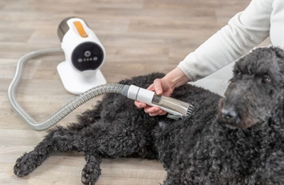 TRIXIE Honden tondeuse set 600W met ingebouwde vachtafzuiger | HEPA-filter - 2 L - netstroom