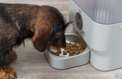 TRIXIE Voerautomaat TX-C Smart 28×17×30 cm – Lichtgrijs 5 ltr