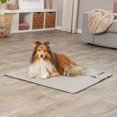 TRIXIE Hondendeken Reisdeken Kunstleer Lichtgrijs 80×80 cm – Citystyle