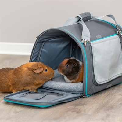 TRIXIE Reistas Knaagdier Vicky Grijs 40×27×28 cm – Uitneembaar Kussen