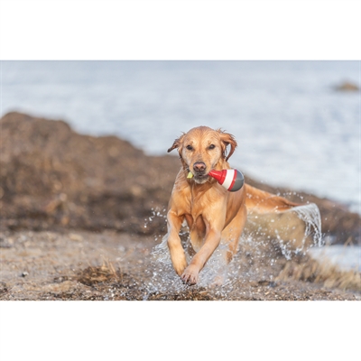 TRIXIE Speelboei Aqua Snack TPR - Vulbaar met snacks & blijft drijven - 19 cm