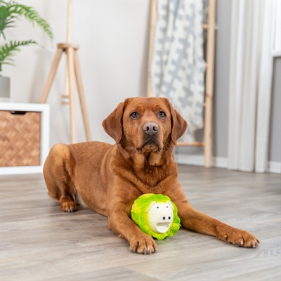 TRIXIE Hondenspeeltje Koolvarken | Latex, piepend & zacht gevuld - Lichtgroen - 23 cm