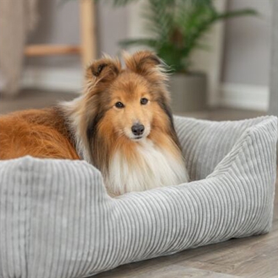 TRIXIE Hondenmand Vital Jonna Orthopedisch met memory-effect - Grijs - 60x50 cm