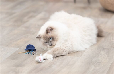 TRIXIE Kattenspeeltje Zeedier Pluche Met Catnip 5-8 cm – Assorti