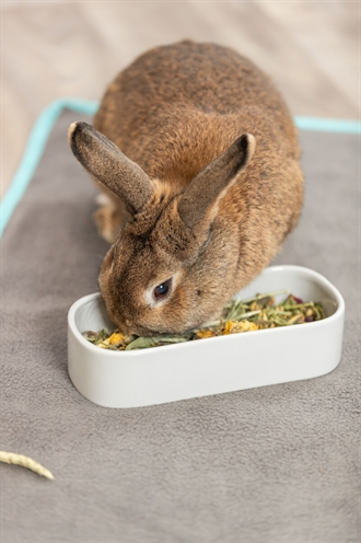 TRIXIE Voerbak Drinkbak Ovaal Keramiek 22×10 cm – Assorti