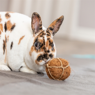 TRIXIE Knaagspeelgoed Kokosbal 6×6 cm – Natuurlijke materialen