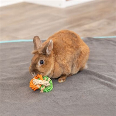 TRIXIE Knaagspeelgoed Ringen van Maislies 15×6×6 cm – Natuurlijke materialen