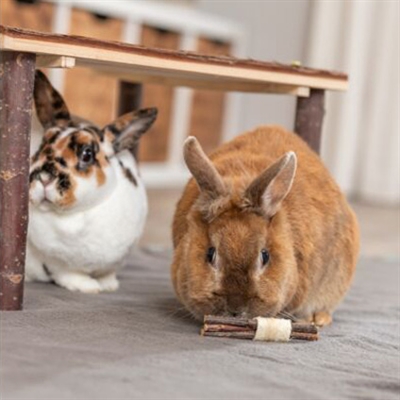 TRIXIE Knaagspeelgoed Set Sticks Luffa/Schorshout/Zeegras 10×3 cm – Natuur