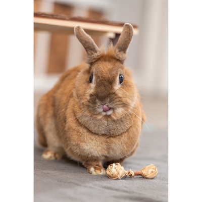 TRIXIE Knaagspeelgoed Halters Schorshout/Gras 9×2 cm – 2 stuks