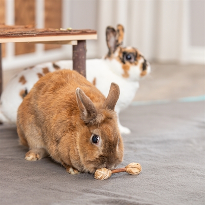 TRIXIE Knaagspeelgoed Halters Schorshout/Gras 9×2 cm – 2 stuks