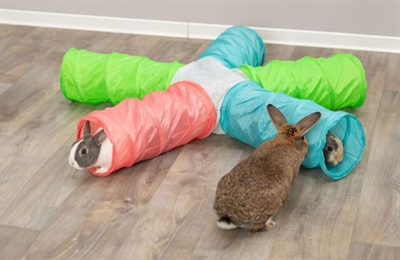 TRIXIE Speeltunnel Cavia/Dwergkonijn 47×18×18 cm – Uitbreidbaar