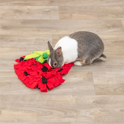 TRIXIE Snuffelmat Aardbei Rood 40×33 cm – Knaagdieren Speelmat