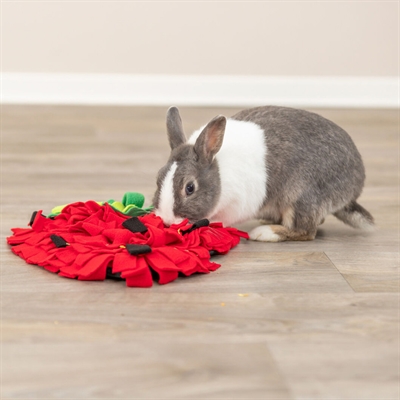 TRIXIE Snuffelmat Aardbei Rood 40×33 cm – Knaagdieren Speelmat