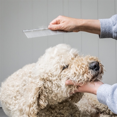 MIKKI Doodle Kam – Verzorgingskam voor Doodles – Ergonomisch ontwerp