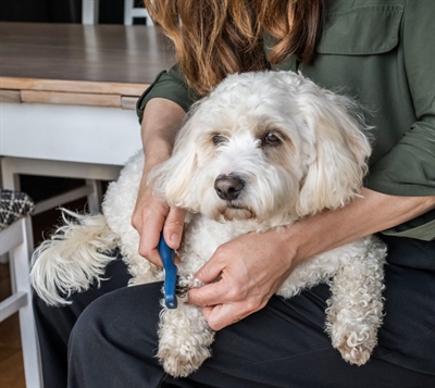 MIKKI Doodle De-Matter Fellpflege-Werkzeug – Ergonomisch für Verfilzungen