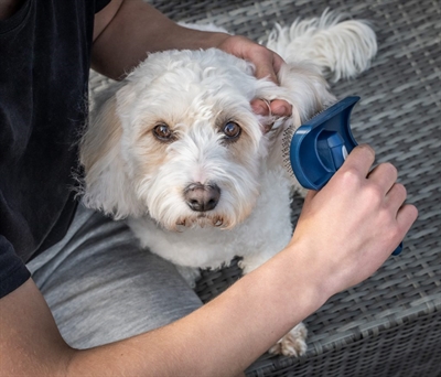 MIKKI Doodle Grooming Kit met Kam en Slickerborstel – Ergonomisch