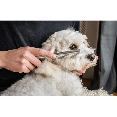 MIKKI Doodle Grooming Kit met Kam en Slickerborstel – Ergonomisch